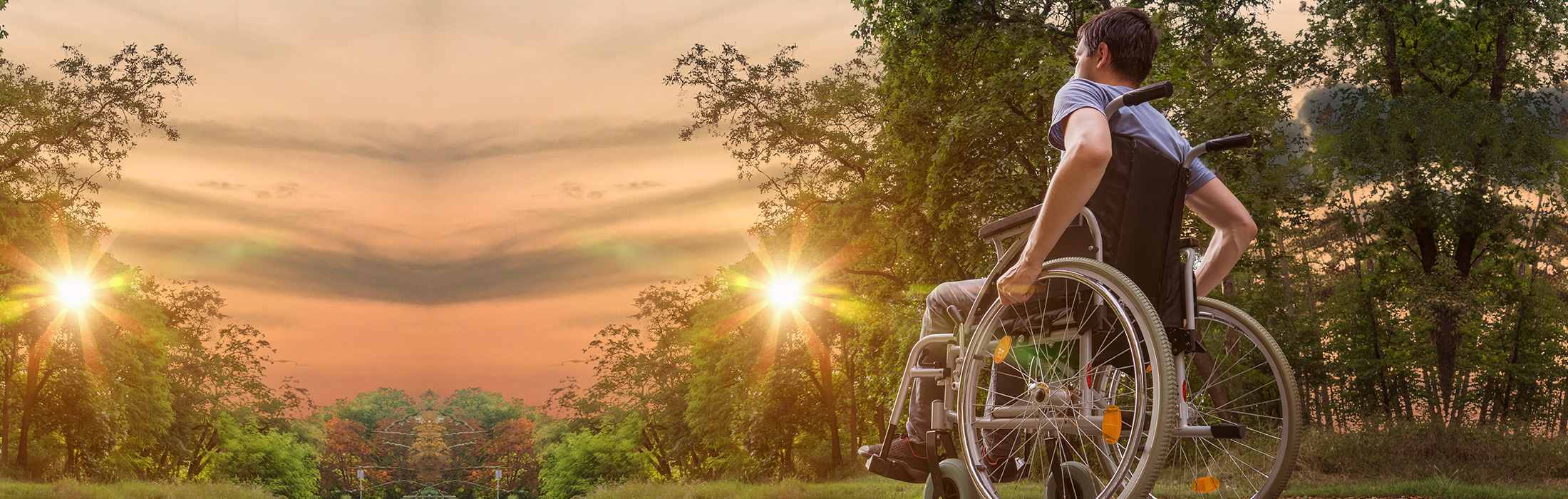 Koikoiイメージ画像